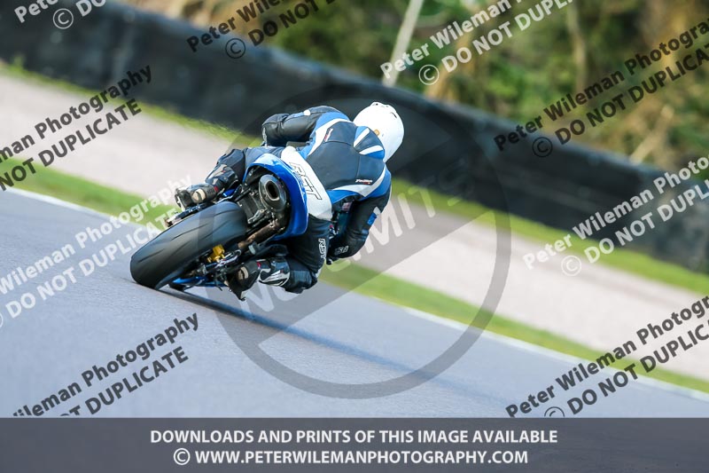 Oulton Park 20th March 2020;PJ Motorsport Photography 2020;anglesey;brands hatch;cadwell park;croft;donington park;enduro digital images;event digital images;eventdigitalimages;mallory;no limits;oulton park;peter wileman photography;racing digital images;silverstone;snetterton;trackday digital images;trackday photos;vmcc banbury run;welsh 2 day enduro